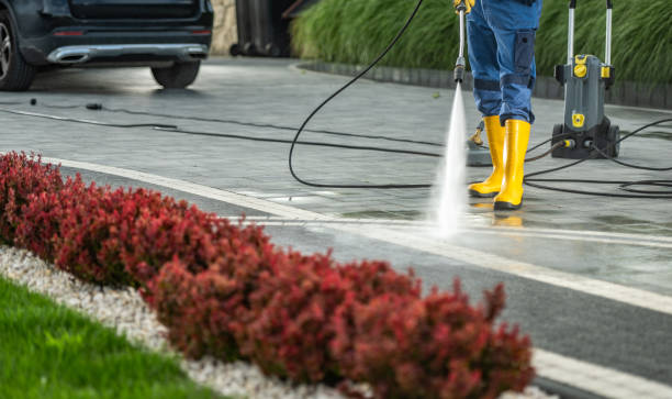 Best Driveway Cleaning and Restoration in Kaneohe, HI